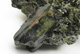 Lustrous, Epidote Crystal Cluster on Actinolite - Pakistan #213440-2